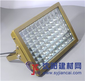 100LED防爆馬路燈，LED防爆隧道燈120W